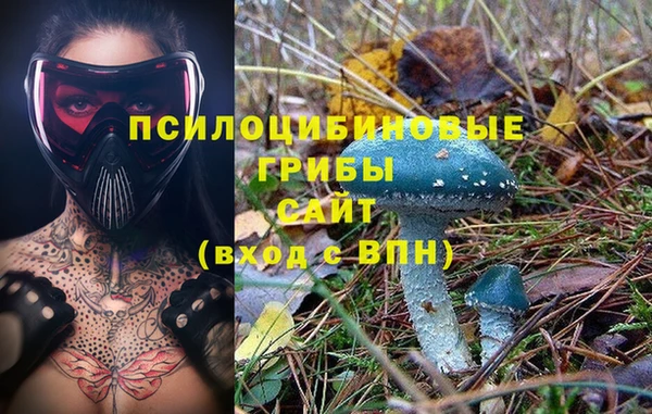 шишки Кулебаки