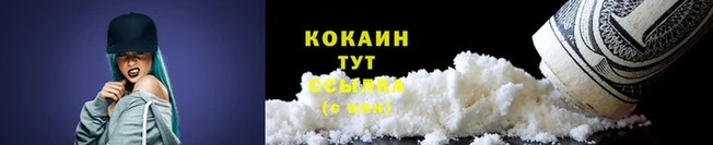 гашик Лабытнанги