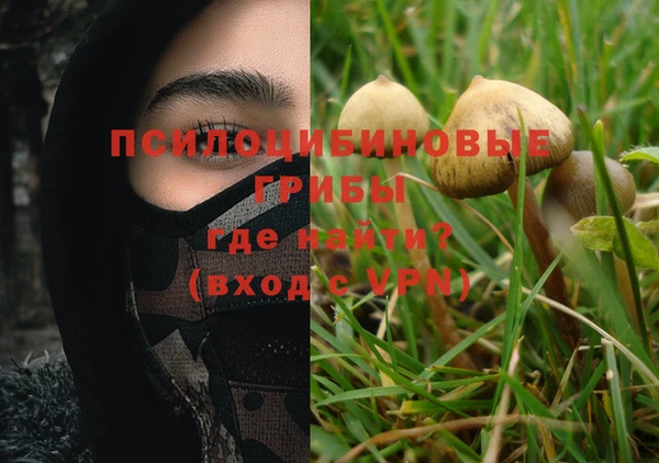 шишки Кулебаки