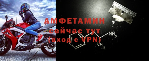 шишки Кулебаки